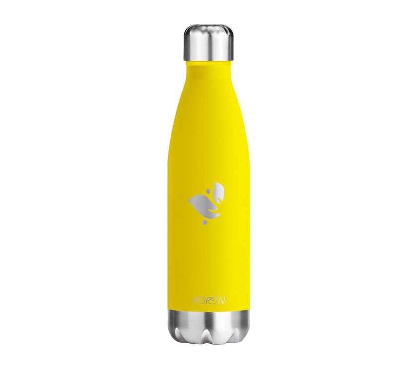 Vacuum Insulated Stainless Steel Water Bottle  - 17OZ / 500ML