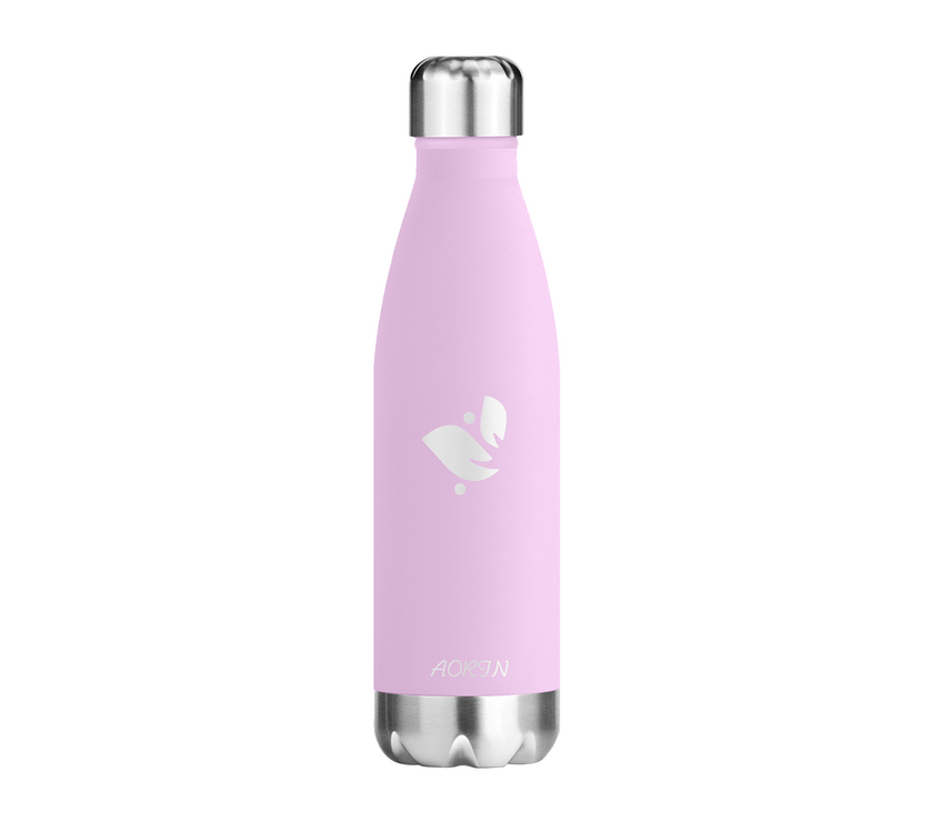 Vacuum Insulated Stainless Steel Water Bottle  - 17OZ / 500ML