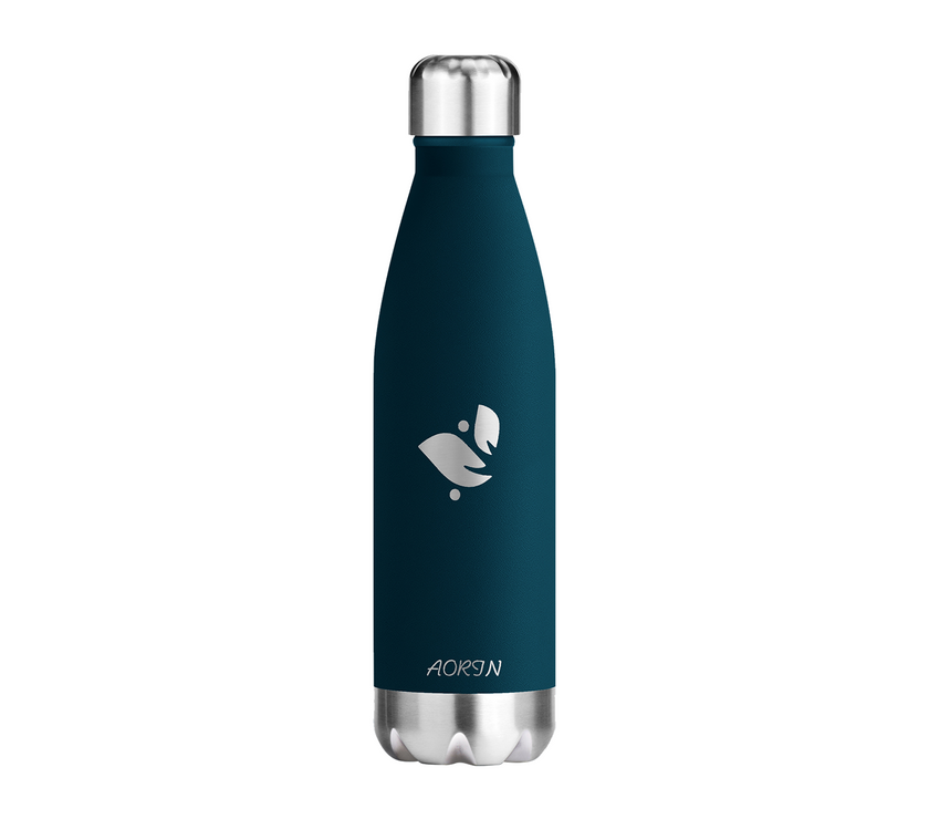 Vacuum Insulated Stainless Steel Water Bottle  - 17OZ / 500ML