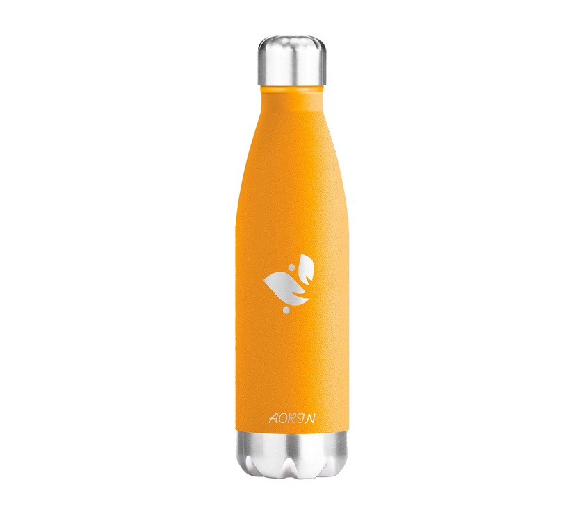 Vacuum Insulated Stainless Steel Water Bottle  - 17OZ / 500ML