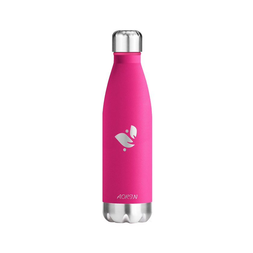 Vacuum Insulated Stainless Steel Water Bottle  - 17OZ / 500ML