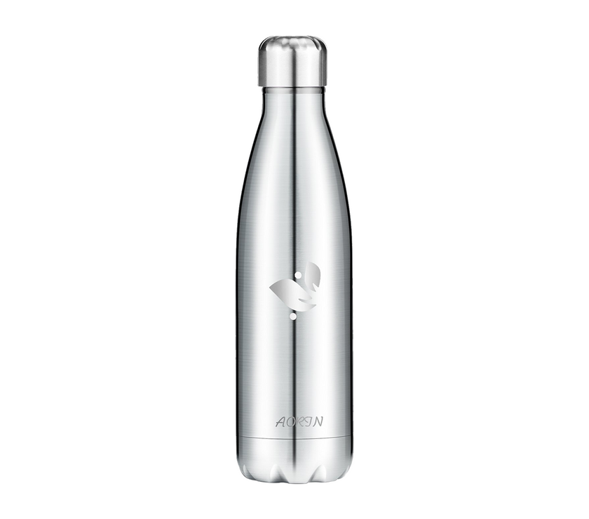 Vacuum Insulated Stainless Steel Water Bottle  - 17OZ / 500ML