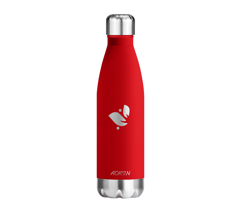 Vacuum Insulated Stainless Steel Water Bottle  - 17OZ / 500ML