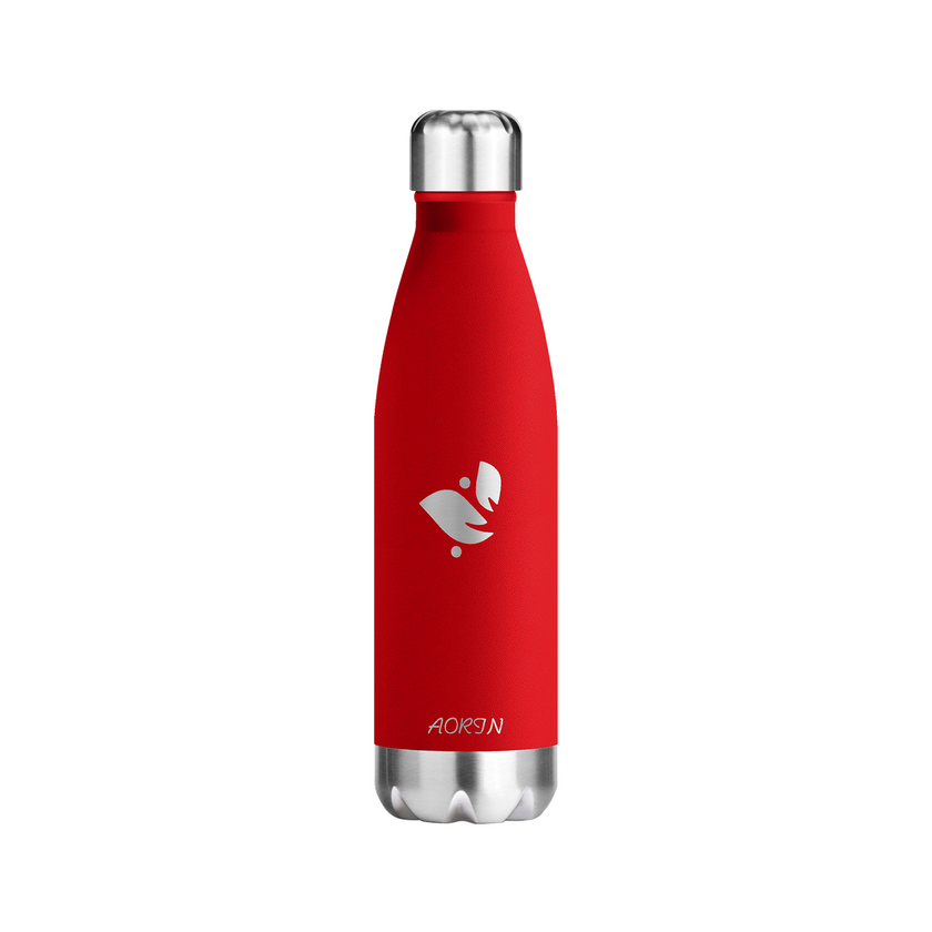 Vacuum Insulated Stainless Steel Water Bottle  - 17OZ / 500ML