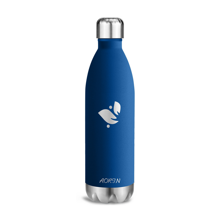 Vacuum Insulated Stainless Steel Water Bottle - 25OZ / 750ML