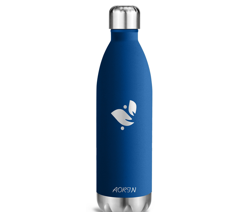 Vacuum Insulated Stainless Steel Water Bottle - 25OZ / 750ML