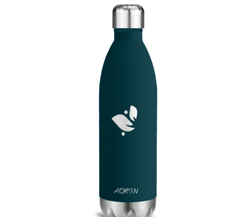 Vacuum Insulated Stainless Steel Water Bottle - 25OZ / 750ML