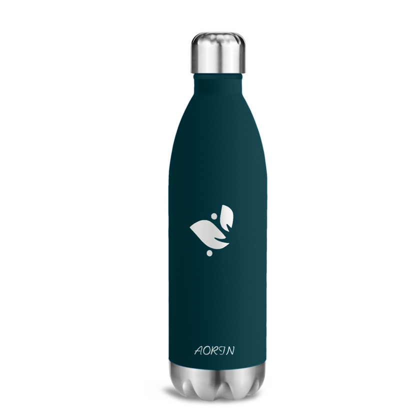 Vacuum Insulated Stainless Steel Water Bottle - 25OZ / 750ML