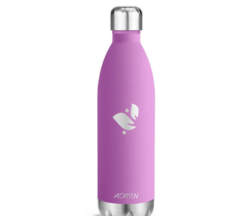 Vacuum Insulated Stainless Steel Water Bottle - 25OZ / 750ML