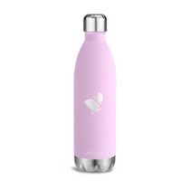 Vacuum Insulated Stainless Steel Water Bottle - 25OZ / 750ML