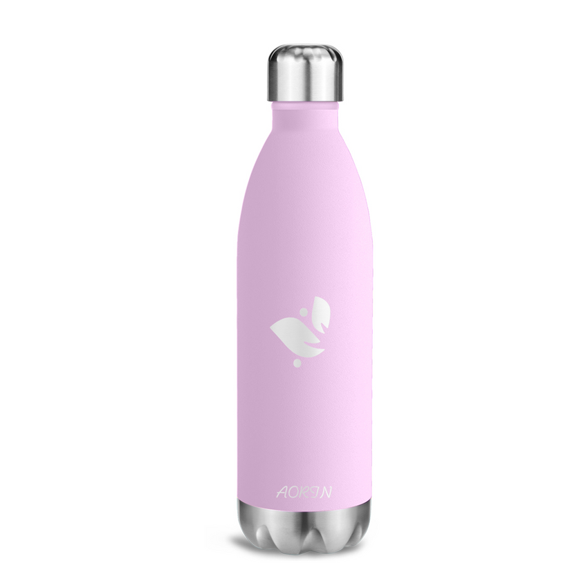 Vacuum Insulated Stainless Steel Water Bottle - 25OZ / 750ML