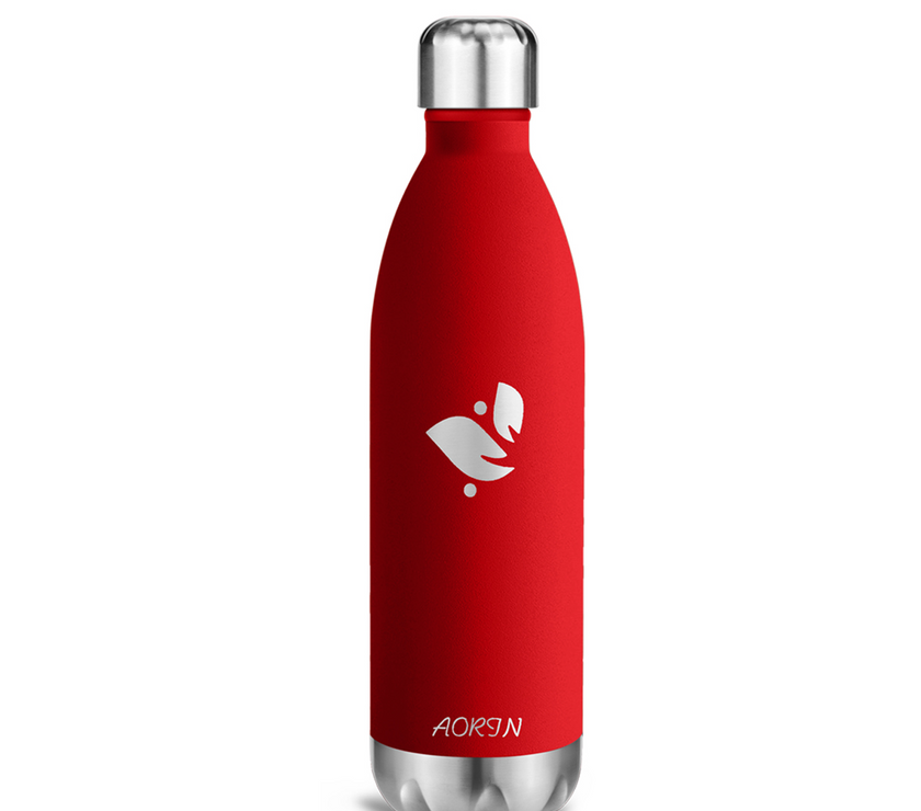 Vacuum Insulated Stainless Steel Water Bottle - 25OZ / 750ML