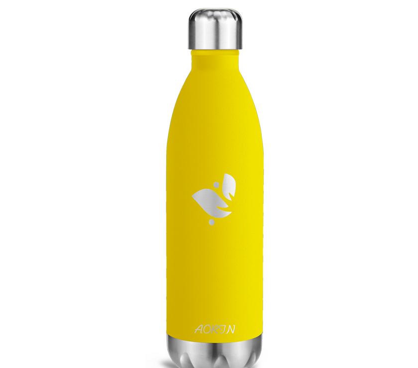 Vacuum Insulated Stainless Steel Water Bottle - 25OZ / 750ML