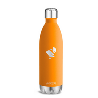 Vacuum Insulated Stainless Steel Water Bottle - 25OZ / 750ML